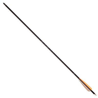 Карбоновая стрела для лука 30" POE LANG D-030B 1003725 фото