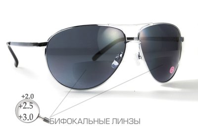 Бифокальные очки защитные Global Vision AVIATOR Bifocal (gray) серые 1АВИБИФ-Д2.0 фото