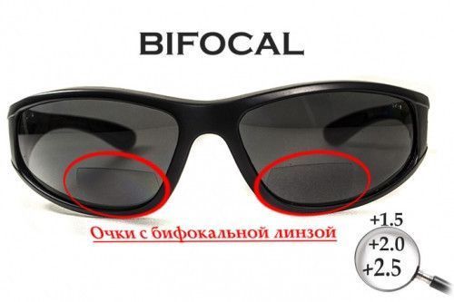 Бифокальные поляризационные защитные очки 3в1 BluWater Winkelman-2 (+2.0) Polarize (gray) серые 4ВИН2БИФ-Д2.0 фото