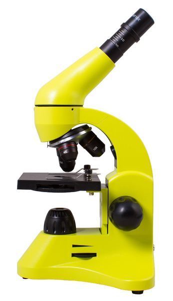 Микроскоп Levenhuk Rainbow 50L Lime\Лайм, Levenhuk, 69099 69099 фото