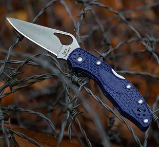 Нож Spyderco Byrd Meadowlark 2 Blue 87.15.60 фото