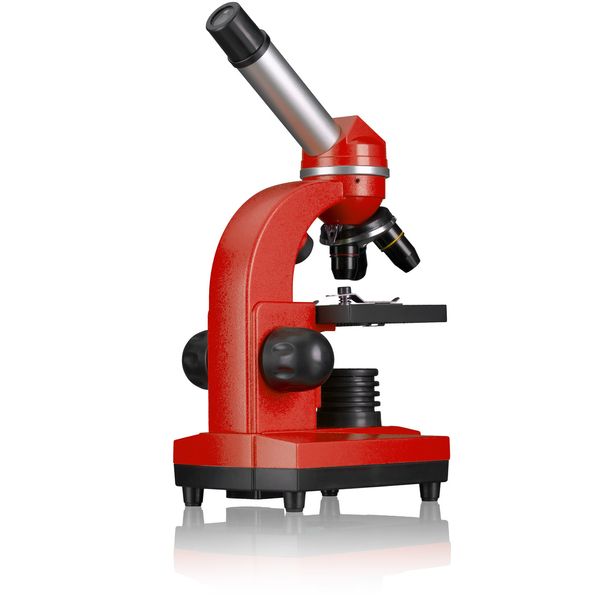 Микроскоп Bresser Junior Biolux SEL 40x-1600x Red с адаптером для смартфона (8855600E8G000) 927061 фото