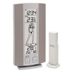 Technoline WS9750 IT Grey/Silver (WS9750) Метеостанція DAS301186 фото