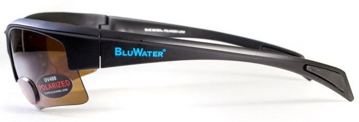 Поляризационные очки бифокальные BluWater Bifocal-2 (+2.0) Polarized (brown) коричневые 4БИФ2-50П20 фото