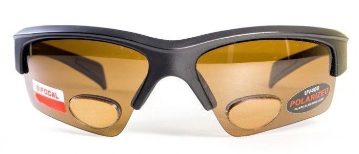 Поляризационные очки бифокальные BluWater Bifocal-2 (+2.5) Polarized (brown) коричневые 4БИФ2-50П25 фото