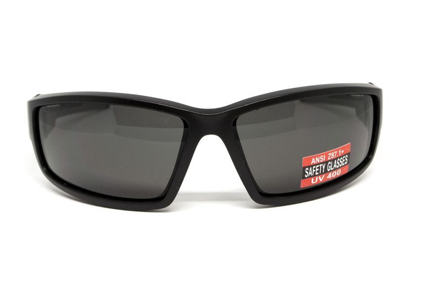 Захисні тактичні окуляри Global Vision Sly (gray), сірі GV-SLY-GR фото