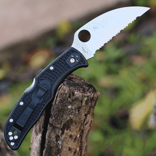 Ніж Spyderco Endela Wharncliffe, серрейтор 87.15.03 фото