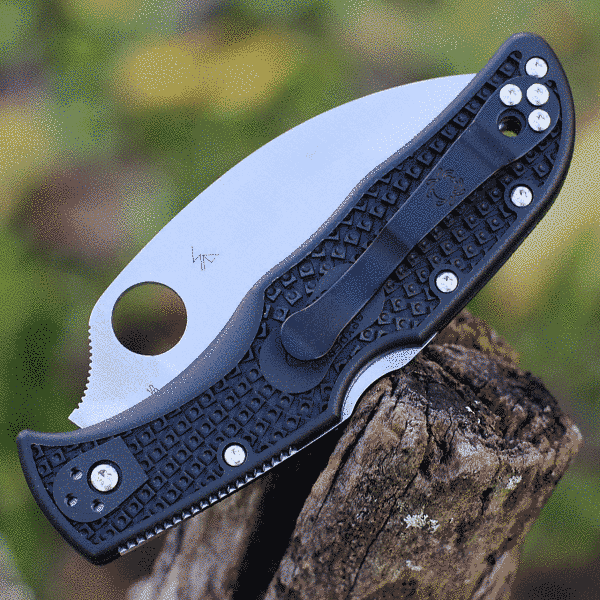 Ніж Spyderco Endela Wharncliffe, серрейтор 87.15.03 фото