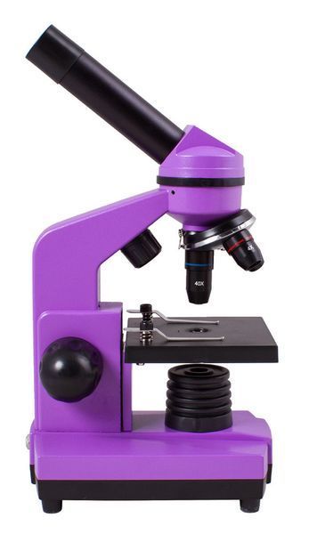 Микроскоп Levenhuk Rainbow 2L Amethyst\Аметист, Levenhuk, 69086 69086 фото