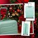 Чемодан Swissbrand Berlin (S) Mint (SWB_LHBER507S) DAS301336 фото 9