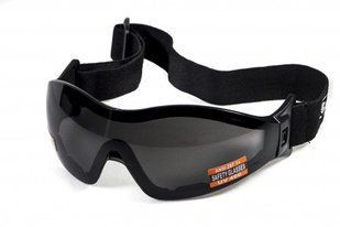 Защитные очки с уплотнителем Global Vision Z-33 (gray) серые 1З33-20 фото