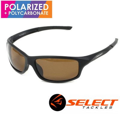 Поляризационные очки Select FS1-MBB 1870.24.77 фото