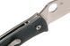 Ніж Spyderco Alcyone 87.13.38 фото 5