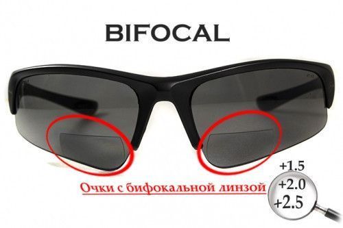 Бифокальные поляризационные защитные очки 3в1 BluWater Winkelman-1 (+2.5) Polarize (gray) серые 4ВИН1БИФ-Д2.5 фото