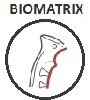 Biomatrix